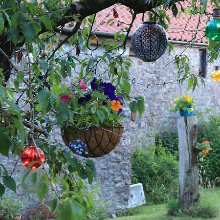 Hill View Bed & Breakfast Binegar Bagian luar foto